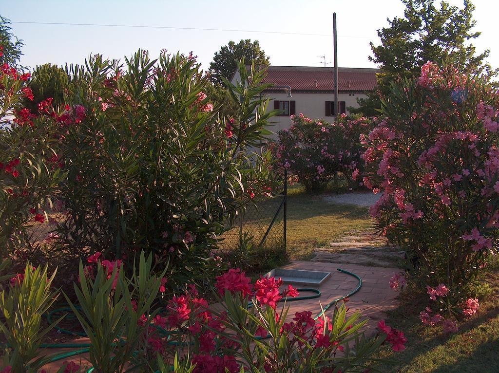 azienda agrituristica Allumiere Villa Campiglia Marittima Exterior foto
