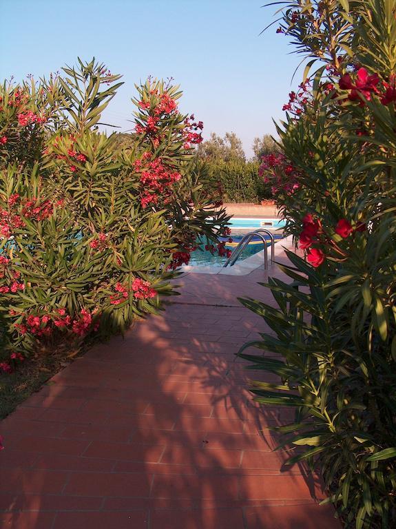 azienda agrituristica Allumiere Villa Campiglia Marittima Exterior foto